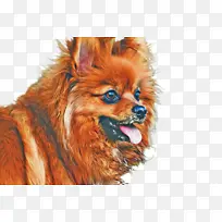 猫 小型至中型猫 胡须