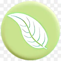 绿色 圆形 植物