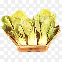 花卉 植物 大白菜