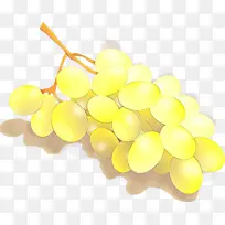 采购产品葡萄 葡萄科 黄色