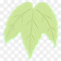叶子 绿色 翅膀