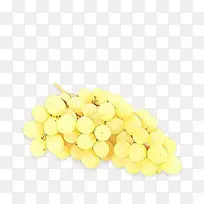 黄色 葡萄 葡萄科