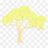 黄色 树木 木本植物