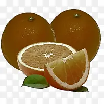柑橘 水果 朗普