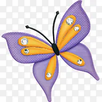 蝴蝶 紫罗兰 飞蛾和蝴蝶