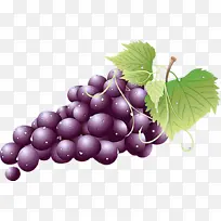 葡萄 葡萄叶 天然食品