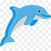 海豚 宽吻海豚 鳍