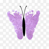 羽毛 蝴蝶 紫罗兰