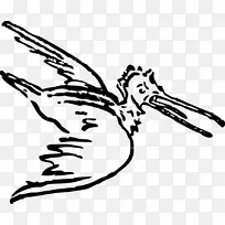 线条艺术 翅膀 鸟