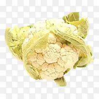 花椰菜 卷心菜 野生卷心菜