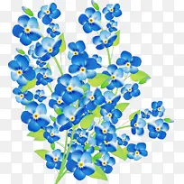 蓝色 花 植物