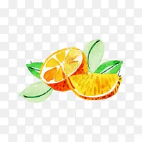 酸橙 柑橘 柠檬