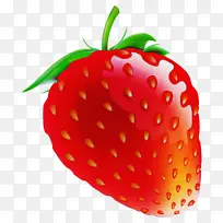 采购产品草莓 草莓 水果