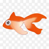 鱼 橙色 金鱼