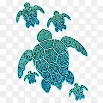 海龟 绿海龟 橄榄海龟