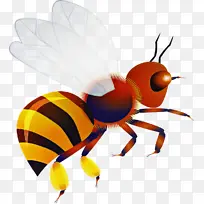 昆虫 害虫 蜜蜂