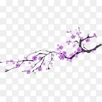 树枝 紫色 丁香