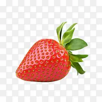 草莓 红色 水果