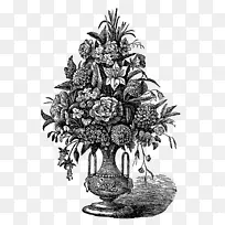 菠萝 树 植物