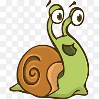 蜗牛和蛞蝓 蜗牛 海蜗牛