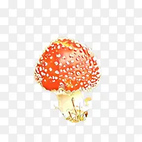 橙子 木耳 蘑菇