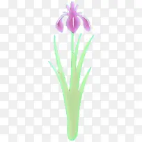 花 植物 紫罗兰