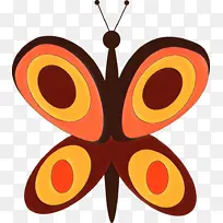 蝴蝶 橙色 飞蛾和蝴蝶