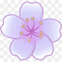 粉色 紫色 花瓣