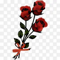 红色 花 玫瑰