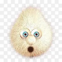鼻子 头 毛皮