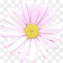 花朵 粉色 花瓣