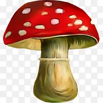 蘑菇 木耳 真菌