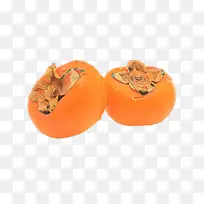 采购产品橘子 柿子 乌木树和柿子
