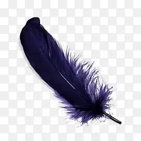 羽毛 羽毛笔 紫色
