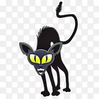 卡通 黑猫 动画