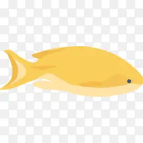 海鱼 黄色 橙色