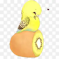 黄色 鸟 鹦鹉