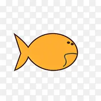 黄色 橙色 鱼
