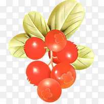 气球 植物 水果