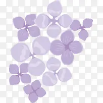 紫罗兰 紫色 丁香