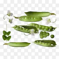 豆类 豌豆 雪豌豆