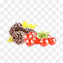 天然食品 浆果 黑莓