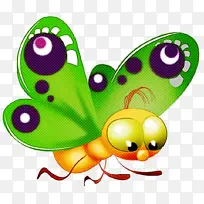昆虫 绿色 蝴蝶