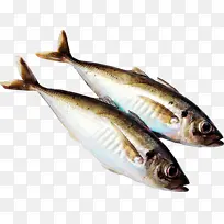 鱼 鱼产品 鲱鱼