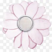花瓣 白色 粉色