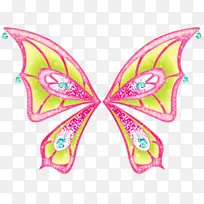 蝴蝶 粉色 翅膀