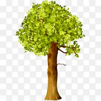 树 植物 绿色