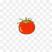橙子 番茄 茄