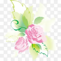花卉 粉色 玫瑰