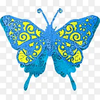 蝴蝶 蓝色 飞蛾和蝴蝶